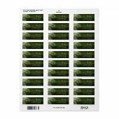 Olive Oasis Palmwedel ID1324 (Vorne)