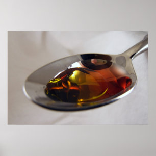 Olive Oli und Vinegar Poster
