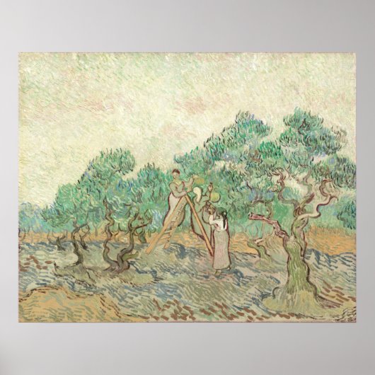 Olive Orchard - Vincent van Gogh Kunstgewerbe Poster (Vorne)