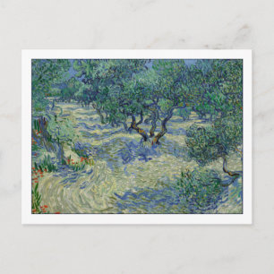 Olive Orchard von van Gogh Postkarte
