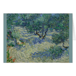 Olive Orchard von Vincent Van Gogh