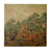 Olive Picking von Vincent van Gogh Fliese (Vorderseite)