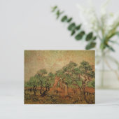 Olive Picking von Vincent van Gogh Postkarte (Stehend Vorderseite)