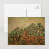 Olive Picking von Vincent van Gogh Postkarte (Vorne/Hinten)