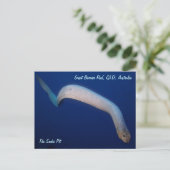 Olive Sea Snake Postkarte (Stehend Vorderseite)