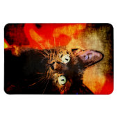 OLIVE SUCHEN MAGNET (Horizontal)