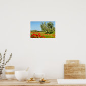 Olive tree in poppy field poster (Küche)