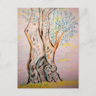 Olive Tree Peace Postkarte