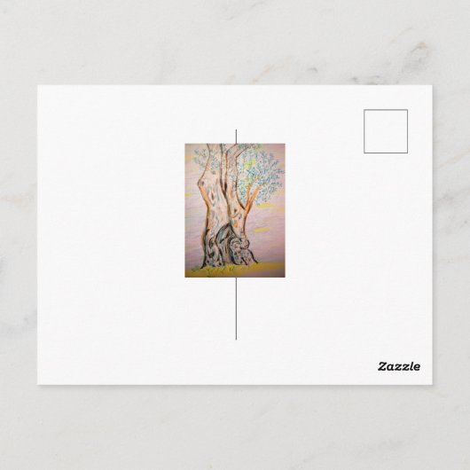 Olive Tree Peace Postkarte (Rückseite)