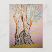 Olive Tree Peace Postkarte (Vorderseite)
