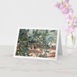 Olive Tree Portrait Karte