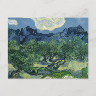 Olive Trees by Van Gogh Postkarte