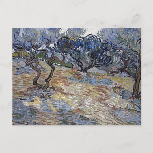 Olive Trees (F714) Van Gogh Fine Art Postkarte (Vorderseite)