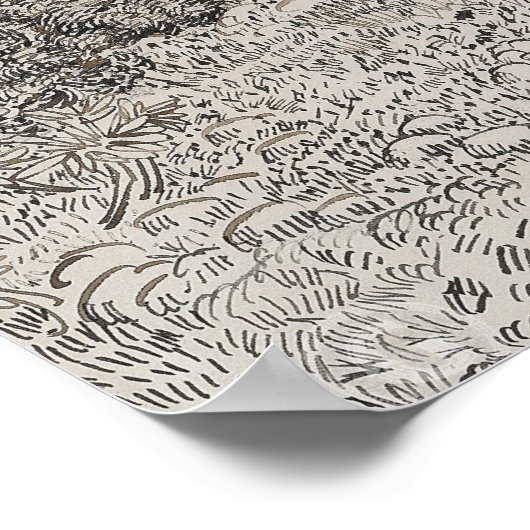 Olive Trees Sketch Poster (Ecke)