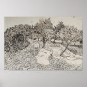 Olive Trees Sketch Poster (Vorne)