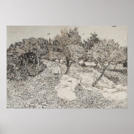 Olive Trees Sketch Poster