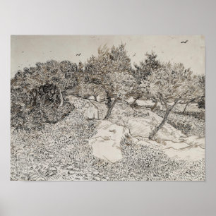 Olive Trees Sketch Poster