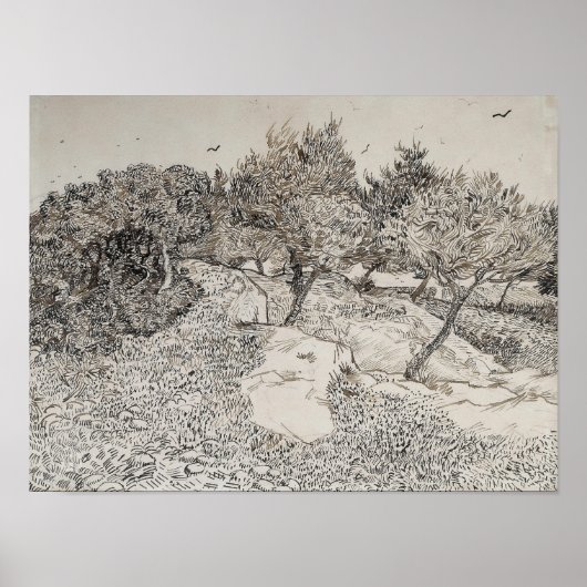 Olive Trees Sketch Poster (Vorne)