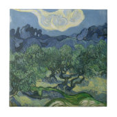 Olive Trees Tile Fliese (Vorderseite)