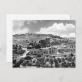 Olive- und Gartengethsemane in Jerusalem Postkarte (Vorne/Hinten)