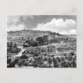 Olive- und Gartengethsemane in Jerusalem Postkarte (Vorderseite)
