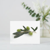 Olivegrün Postkarte (Stehend Vorderseite)