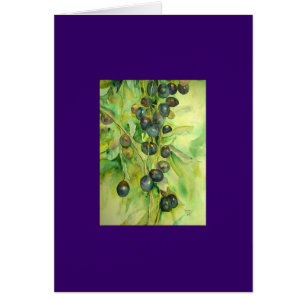 Oliven, Sommer, Sonne,