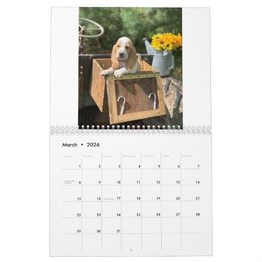 Oliven- und Zugwelpen 2019 Kalender (Mär 2026)
