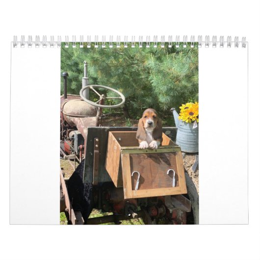 Oliven- und Zugwelpen 2019 Kalender (Titelbild)
