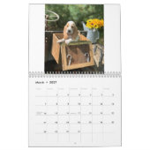 Oliven- und Zugwelpen 2019 Kalender (Mär 2027)