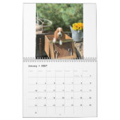Oliven- und Zugwelpen 2019 Kalender (Jan 2027)