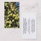 Oliven-Visitenkarte Visitenkarte (Vorne/Hinten)