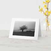 Olivenbaum am Meer Karte (Gelbe Blume)