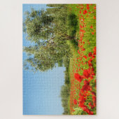 Olivenbaum auf dem Mohnblumengebiet im Sommer Puzzle (Vertikal)