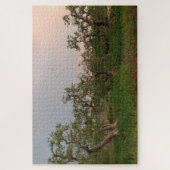 Olivenbaum bei Sonnenuntergang Puzzle (Vertikal)