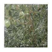 Olivenbaum-Blätter Fliese (Vorderseite)