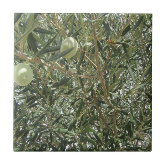 Olivenbaum-Blätter Fliese (Vorderseite)