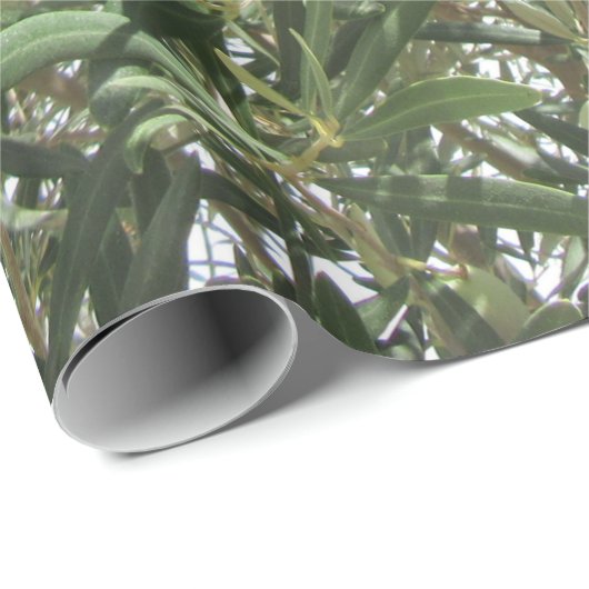 Olivenbaum-Blätter Geschenkpapier (Rolleneckpunkt)