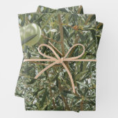 Olivenbaum-Blätter Geschenkpapier Set (Beispiel)
