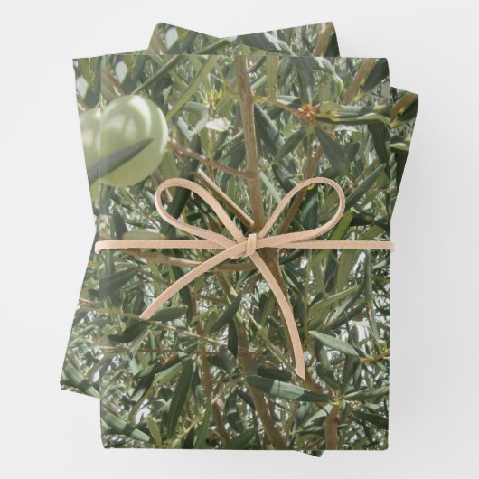 Olivenbaum-Blätter Geschenkpapier Set (Beispiel)
