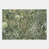 Olivenbaum-Blätter Geschenkpapier Set (Vorderseite)