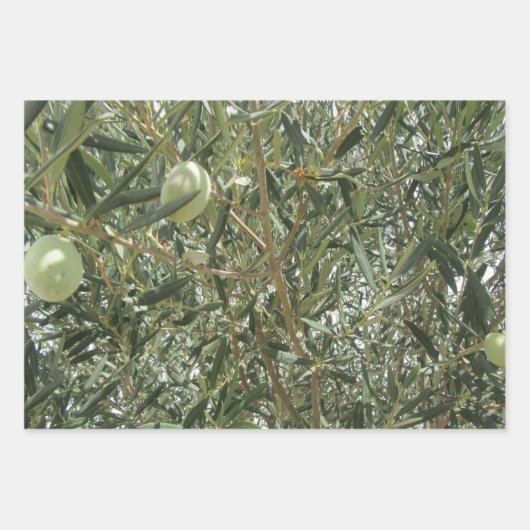 Olivenbaum-Blätter Geschenkpapier Set (Vorderseite)