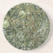 Olivenbaum-Blätter Getränkeuntersetzer (Vorne)