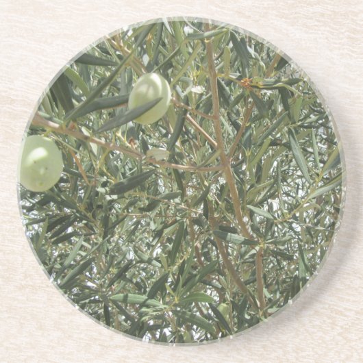 Olivenbaum-Blätter Getränkeuntersetzer (Vorne)