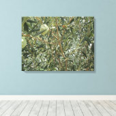 Olivenbaum-Blätter Leinwanddruck (Insitu (Holzboden))