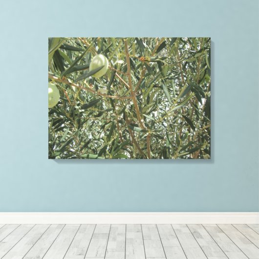 Olivenbaum-Blätter Leinwanddruck (Insitu (Holzboden))