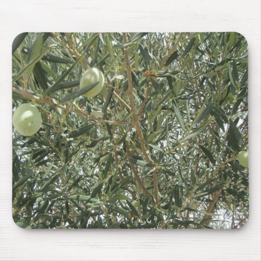 Olivenbaum-Blätter Mousepad (Vorne)