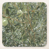 Olivenbaum-Blätter Rechteckiger Pappuntersetzer (Vorderseite)