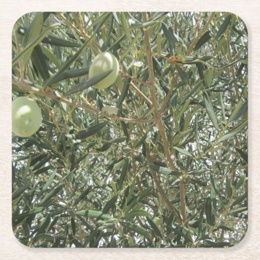 Olivenbaum-Blätter Rechteckiger Pappuntersetzer (Vorderseite)