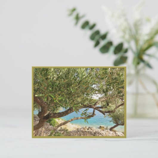 Olivenbaum im Mittelmeer Postkarte (Stehend Vorderseite)